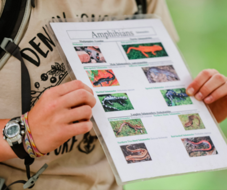 An instructor holds up a laminated paper with different animals that you can find in the wild.